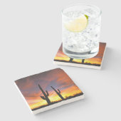 北米、アメリカ、アリゾナ、ソノラン砂漠。 ストーンコースター (横)