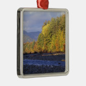 北米、アメリカ、アンモニア、サコ川。コブル メタルオーナメント (右)