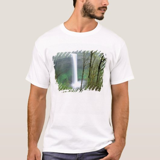北米, アメリカ, オレゴン州, シルバーフォールズ州立 Tシャツ (正面)