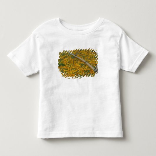 北米, アメリカ, オレゴン州。野原の灌漑システム トドラーTシャツ (正面)