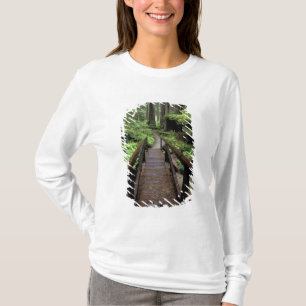 北米,アメリカ,カリフォルニア州,ジェディダイア・スミス・レッドウッズ Tシャツ