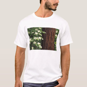 北米,アメリカ,カリフォルニア州,ヨセミテ 3 Tシャツ