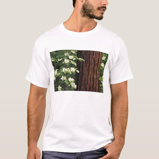 北米,アメリカ,カリフォルニア州,ヨセミテ 3 Tシャツ (正面)