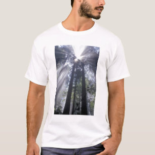 北米,アメリカ,カリフォルニア デルノースコースト州 Tシャツ