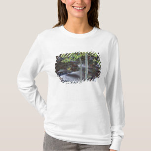 北米,アメリカ,コロラド州,サンファン Tシャツ