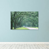 北米、アメリカ、ジョージア、サバンナ、 キャンバスプリント (インサイチュ (ウッドフロア))