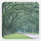 北米、アメリカ、ジョージア、サバンナ、 スクエアシール (正面)