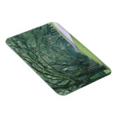 北米、アメリカ、ジョージア、サバンナ、 マグネット (右側)