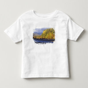 北米,アメリカ,ニューハンプシャー州,サコ川の玉石 トドラーTシャツ
