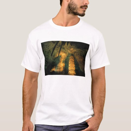 北米,アメリカ,ニューメキシコ州,カールズバッド Tシャツ (正面)