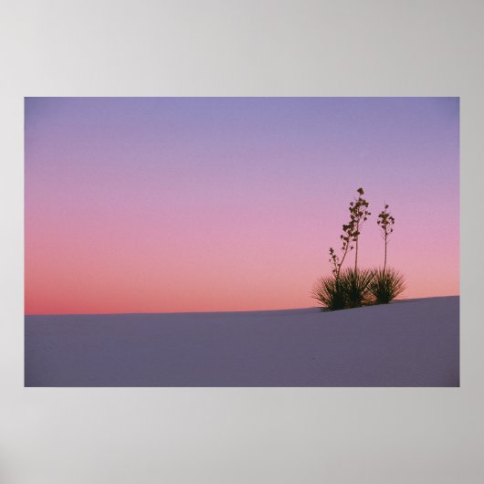 北米、アメリカ、ニューメキシコ、ホワイト ポスター (正面)