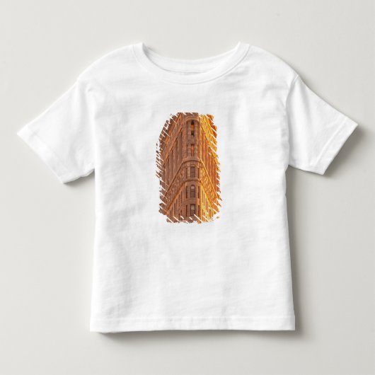 北米,アメリカ,ニューヨーク,ニューヨーク市. 5 トドラーTシャツ (正面)
