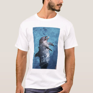 北米,アメリカ,ハワイ。イルカ Tシャツ