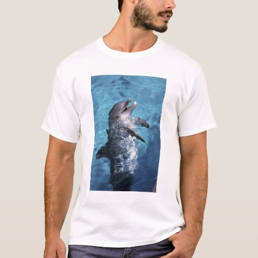 北米,アメリカ,ハワイ。イルカ Tシャツ (正面)
