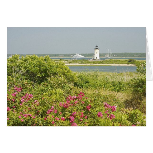 北米,アメリカ,マサチューセッツ州,マサチューセッツ州 マーサズ (正面横)