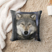 北米、アメリカ、ミネソタ州。オオカミ Canis クッション (ブランケット)