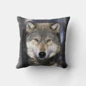 北米、アメリカ、ミネソタ州。オオカミ Canis クッション (裏面)