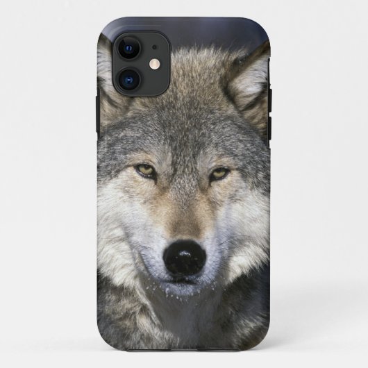 北米、アメリカ、ミネソタ州。オオカミ Canis Case-Mate iPhoneケース (裏面)