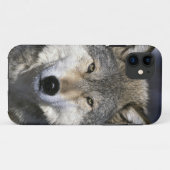 北米、アメリカ、ミネソタ州。オオカミ Canis Case-Mate iPhoneケース (裏面(横))