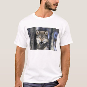 北米,アメリカ,ミネソタ州。オオカミ Canis Tシャツ