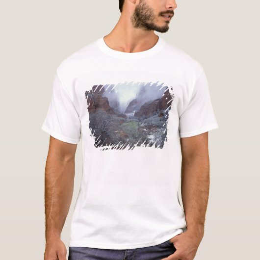 北米,アメリカ,ユタ州,ザイオン国立公園,春の嵐, Tシャツ (正面)