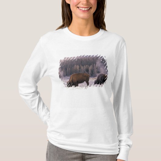 北米,アメリカ,ワイオミング州,イエローストーン国立公園, Tシャツ (正面)