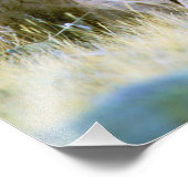 北米，アメリカ，ワイオミング，イエローストーン2 フォトプリント            (角)