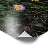 北米，アメリカ，ワイオミング，イエローストーン2 フォトプリント            (角)