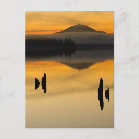 北米、アメリカ、ワサ、オリンピック国立公園。 ポストカード (正面)