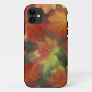 北米,アメリカ,ワシントン州,イサクア,ビンメイプル iPhone 11 ケース