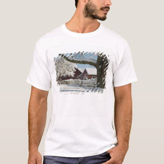 北米,アメリカ,ワシントン州,ウィドビー島. 2 Tシャツ (正面)