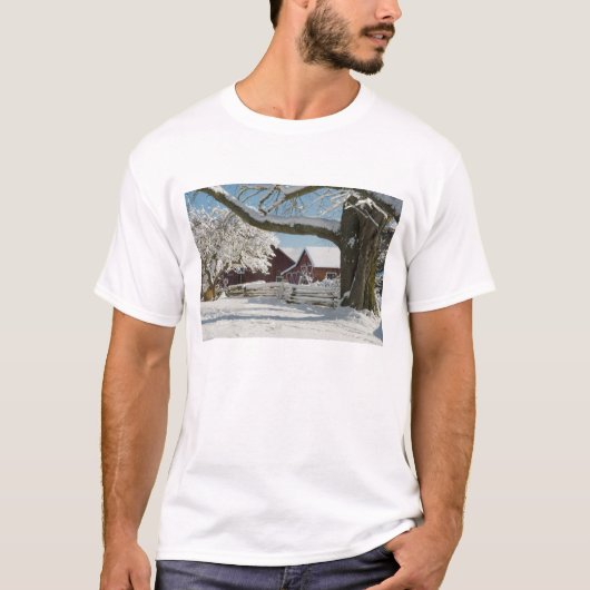 北米,アメリカ,ワシントン州,ウィドビー島. 2 Tシャツ (正面)