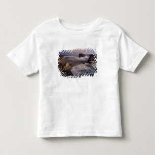 北米,アメリカ,ワシントン州,オリンピック国立公園, トドラーTシャツ
