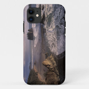 北米,アメリカ,ワシントン州,オリンピック国立公園, iPhone 11 ケース