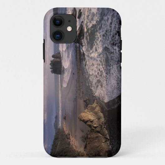 北米,アメリカ,ワシントン州,オリンピック国立公園, Case-Mate iPhoneケース (裏面)