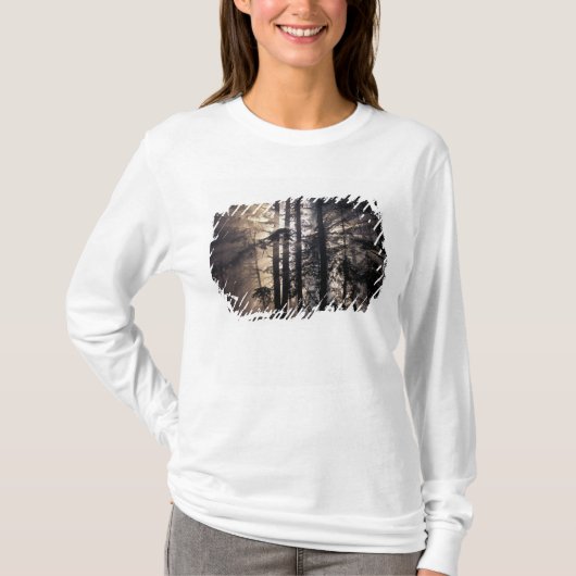 北米,アメリカ,ワシントン州,オリンピック国立公園, Tシャツ (正面)