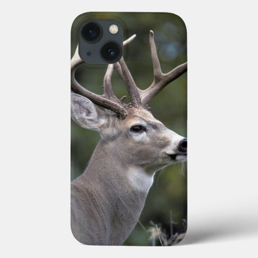 北米, アメリカ, ワシントン州, シロオジシ Case-Mate iPhoneケース (裏面)