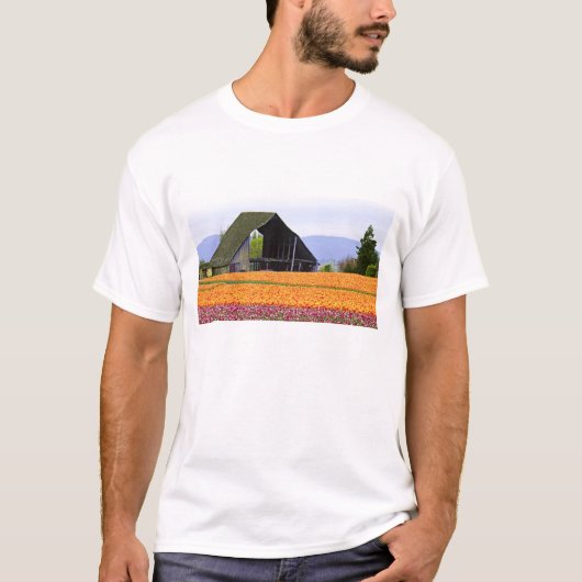 北米,アメリカ,ワシントン州,スカギットバレー. 2 Tシャツ (正面)