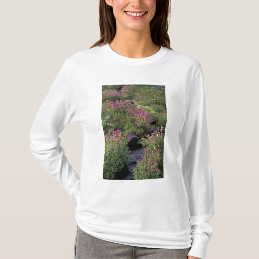 北米,アメリカ,ワシントン州,レイニアー山国立公園,ピンク Tシャツ (正面)