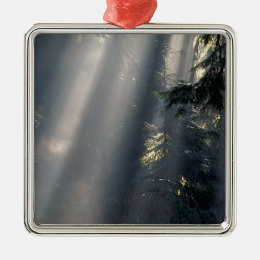 北米、アメリカ、ワシントン、オリンピックNP メタルオーナメント (正面)