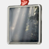 北米、アメリカ、ワシントン、オリンピックNP メタルオーナメント (左)