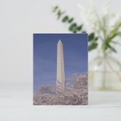 北米,アメリカ,ワシントンD.C.,ワシントン ポストカード (スタンド正面)