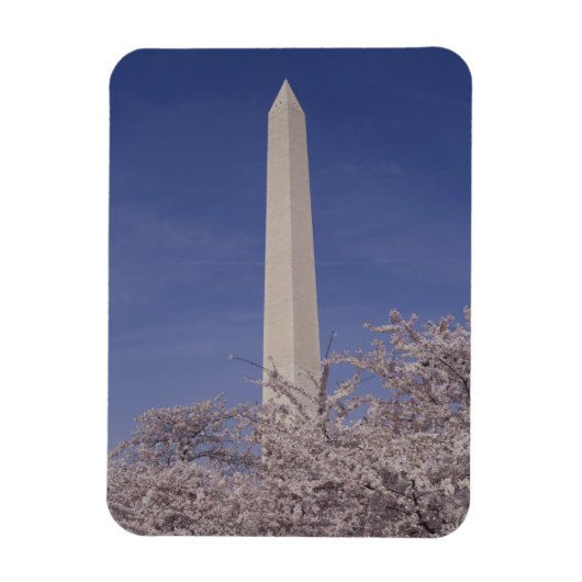 北米,アメリカ,ワシントンD.C.,ワシントン マグネット (縦)