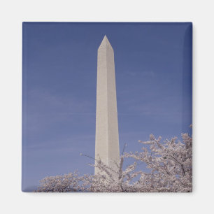 北米,アメリカ,ワシントンD.C.. ワシントン マグネット