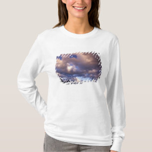 北米, カナダ, アルバータ州, ジャスパー 5 Tシャツ