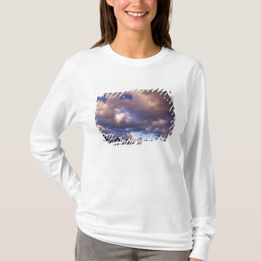 北米, カナダ, アルバータ州, ジャスパー 5 Tシャツ (正面)