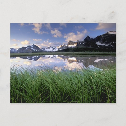 北米, カナダ, アルバータ州, トンキン谷. ジャスパー ポストカード (正面)