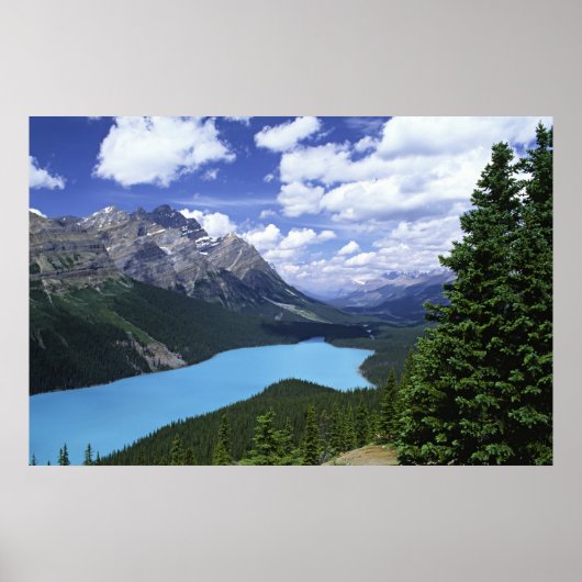北米、カナダ、アルバータ、ジャスパー6 ポスター (正面)
