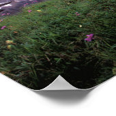 北米、カナダ、アルバータ、ジャスパー ポスター (角)