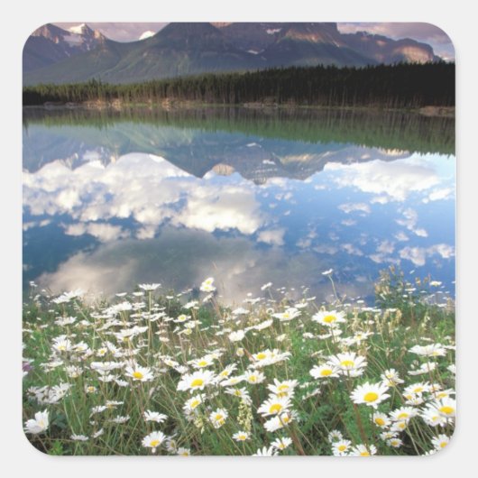 北米、カナダ、アルバータ、バンフ国立2 スクエアシール (正面)